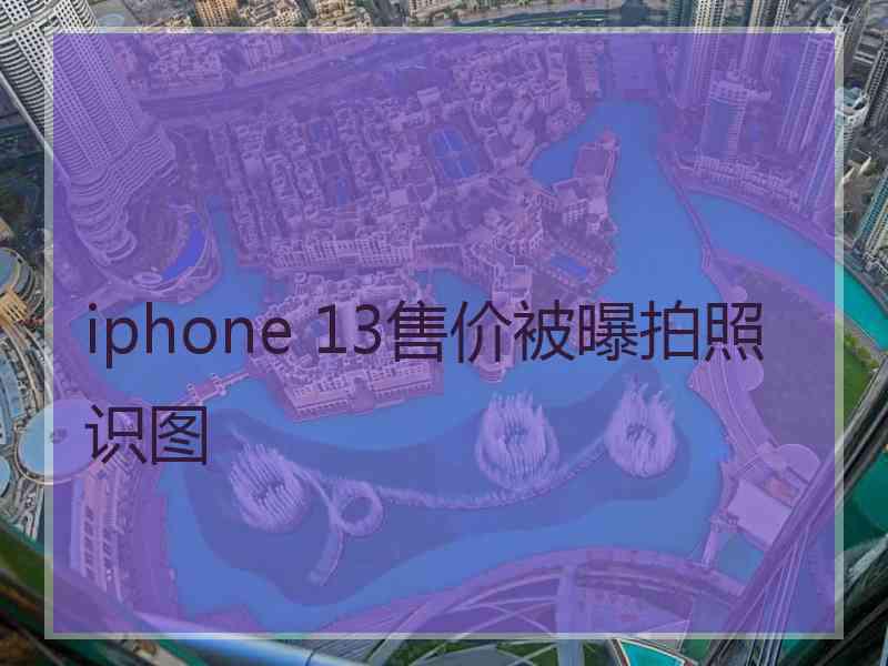 iphone 13售价被曝拍照识图