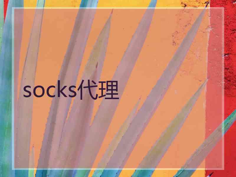 socks代理