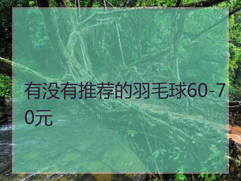 有没有推荐的羽毛球60-70元