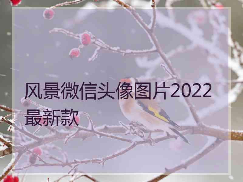 风景微信头像图片2022最新款