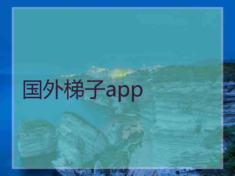 国外梯子app