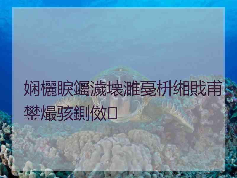 娴欐睙钃濊壊濉戞枡缃戝甫鐢熶骇鍘傚