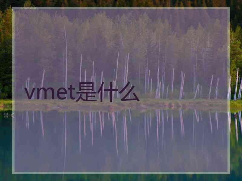 vmet是什么