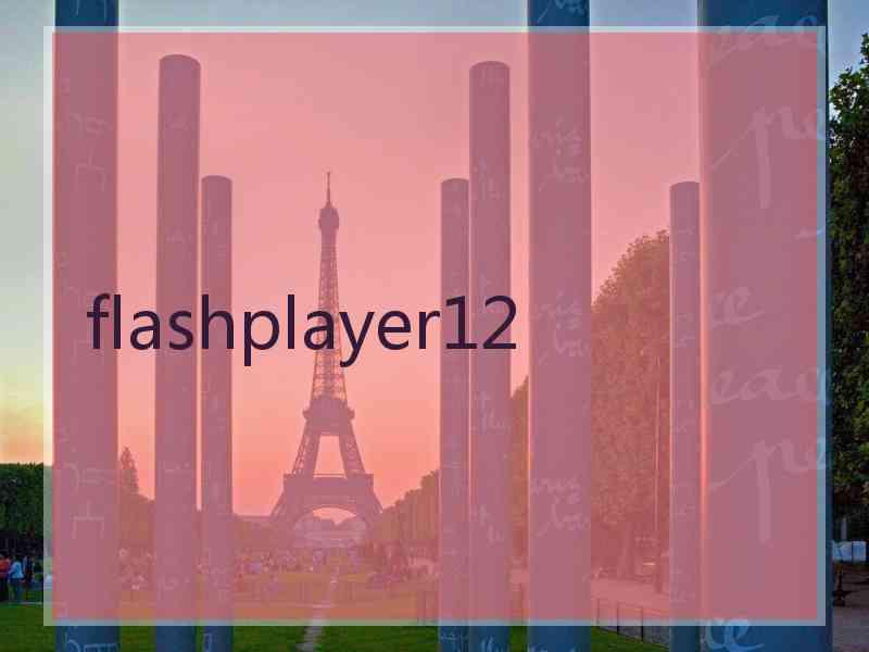 flashplayer12