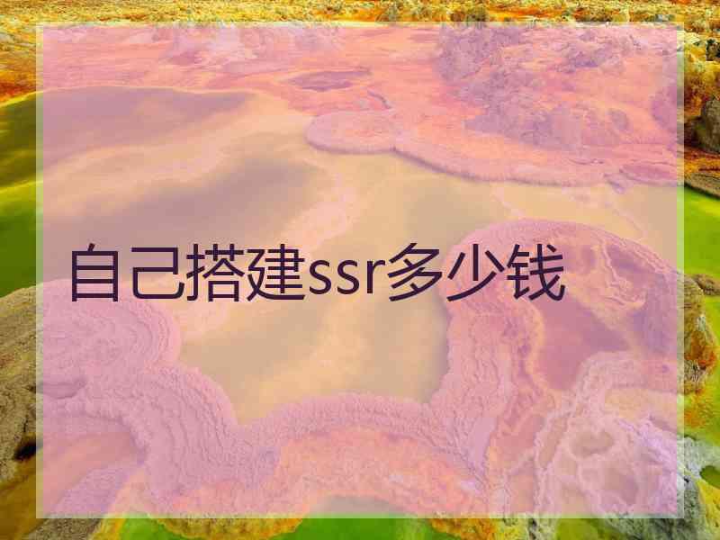 自己搭建ssr多少钱