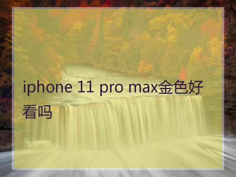 iphone 11 pro max金色好看吗