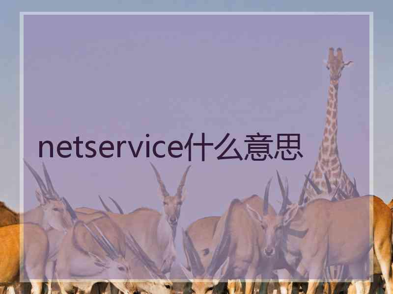 netservice什么意思