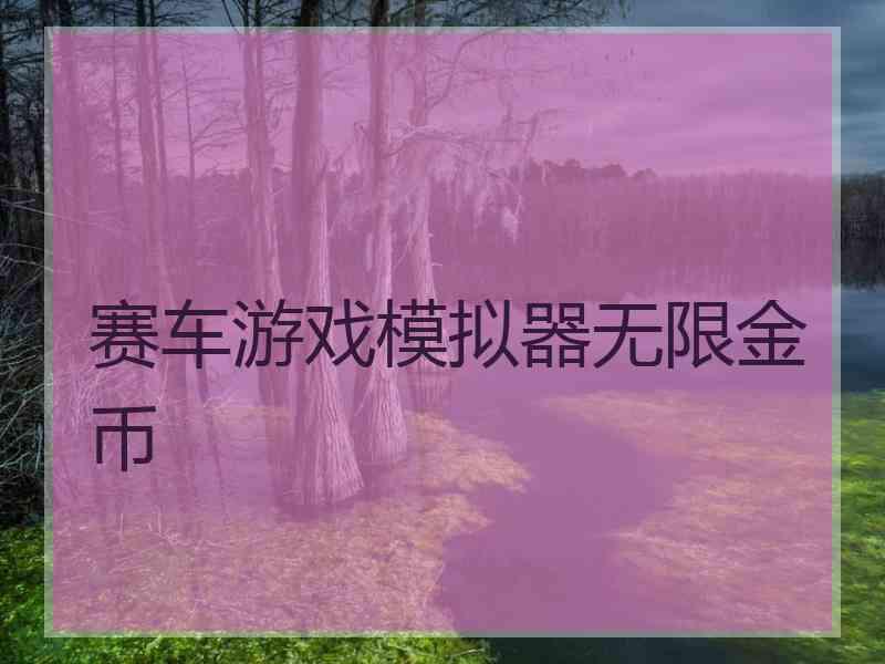 赛车游戏模拟器无限金币