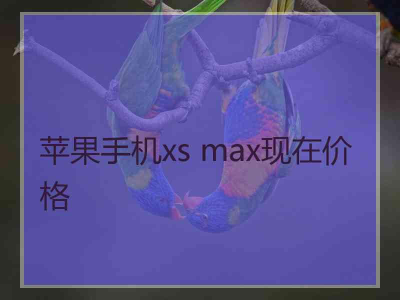 苹果手机xs max现在价格