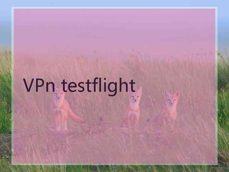 VPn testflight