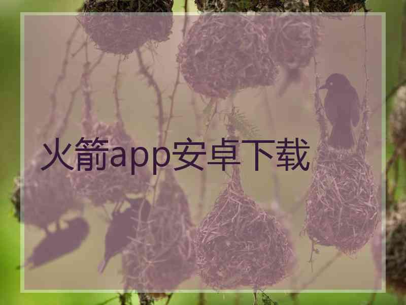 火箭app安卓下载