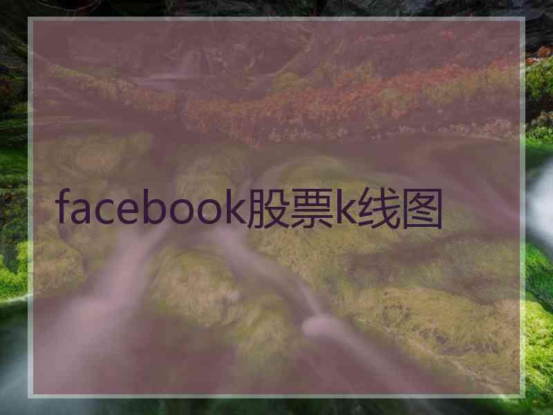 facebook股票k线图