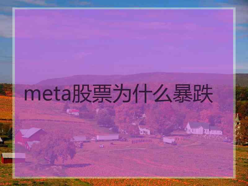 meta股票为什么暴跌