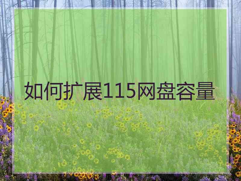 如何扩展115网盘容量