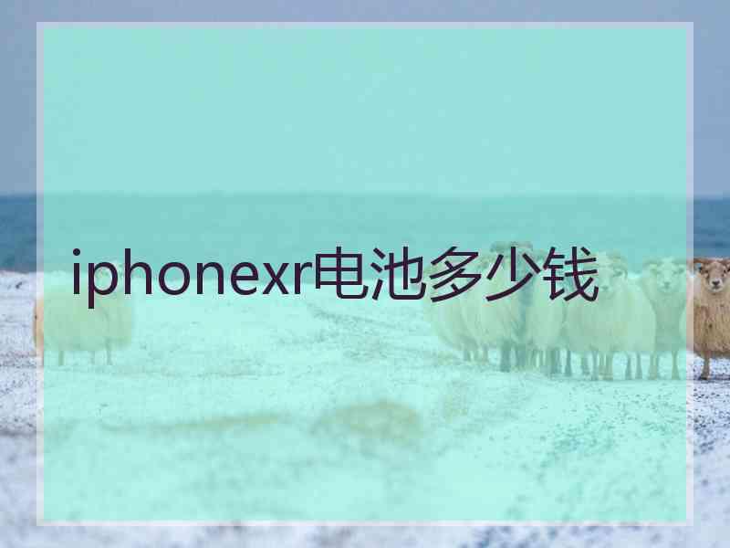 iphonexr电池多少钱