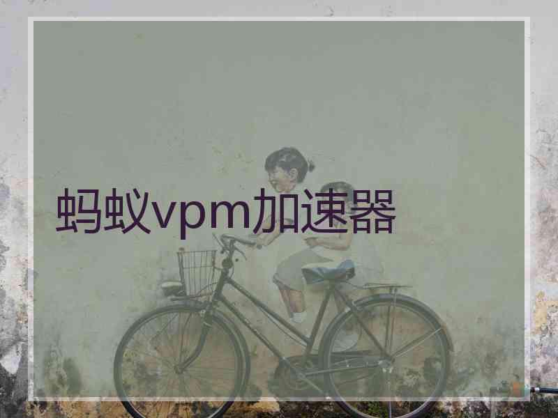 蚂蚁vpm加速器