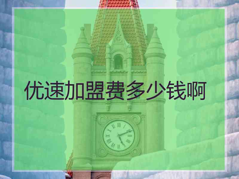 优速加盟费多少钱啊