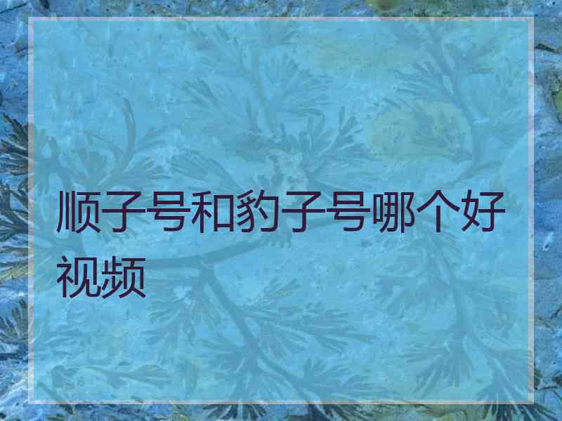 顺子号和豹子号哪个好视频