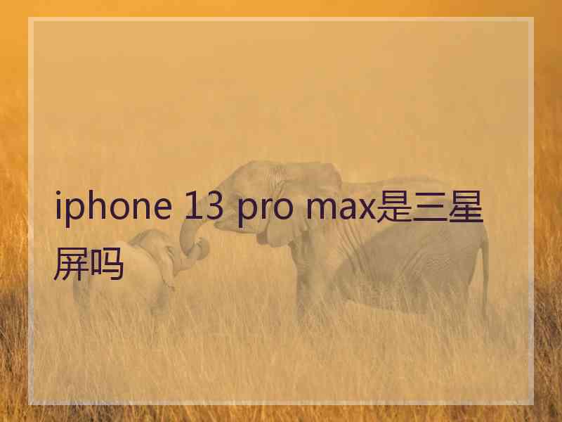 iphone 13 pro max是三星屏吗