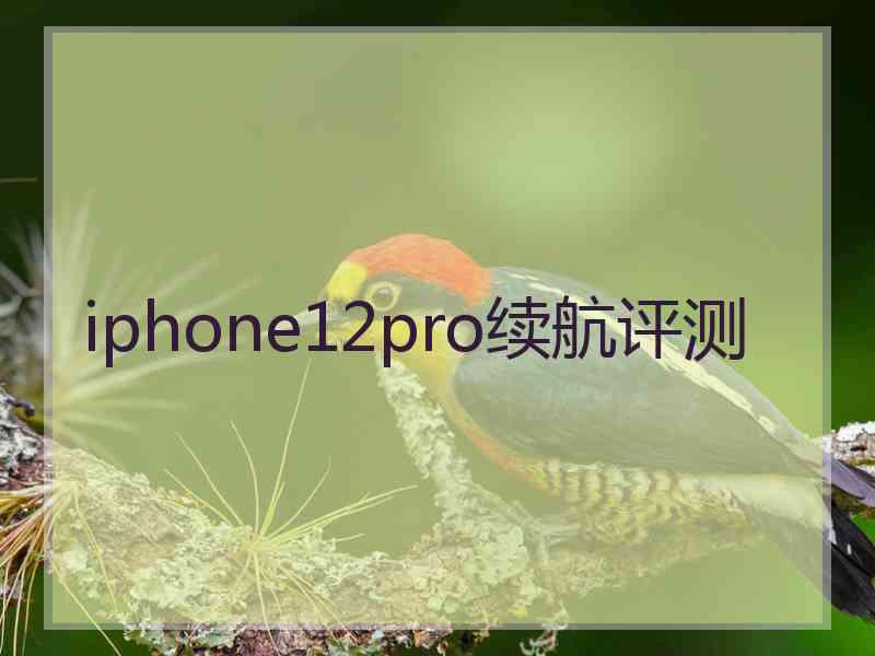 iphone12pro续航评测