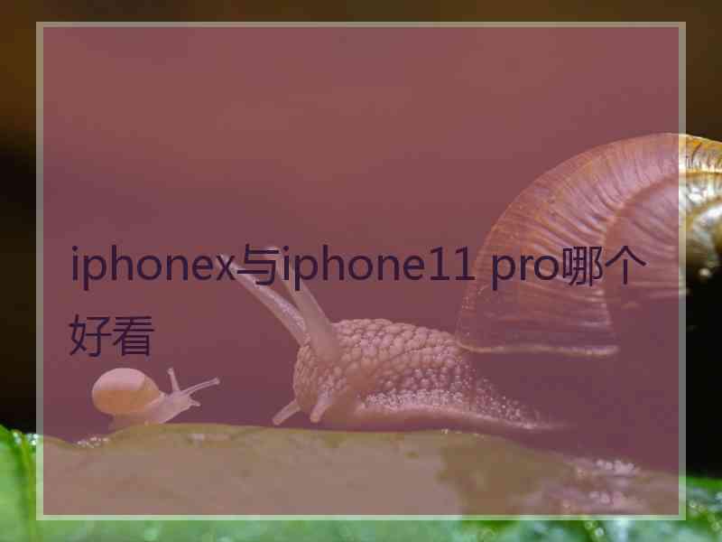 iphonex与iphone11 pro哪个好看