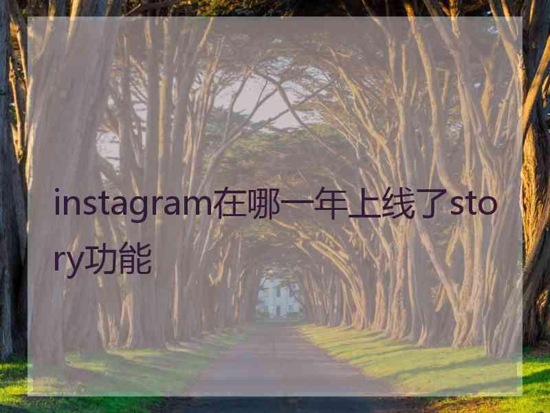 instagram在哪一年上线了story功能