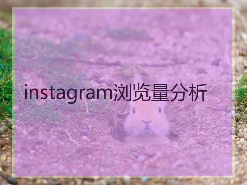 instagram浏览量分析