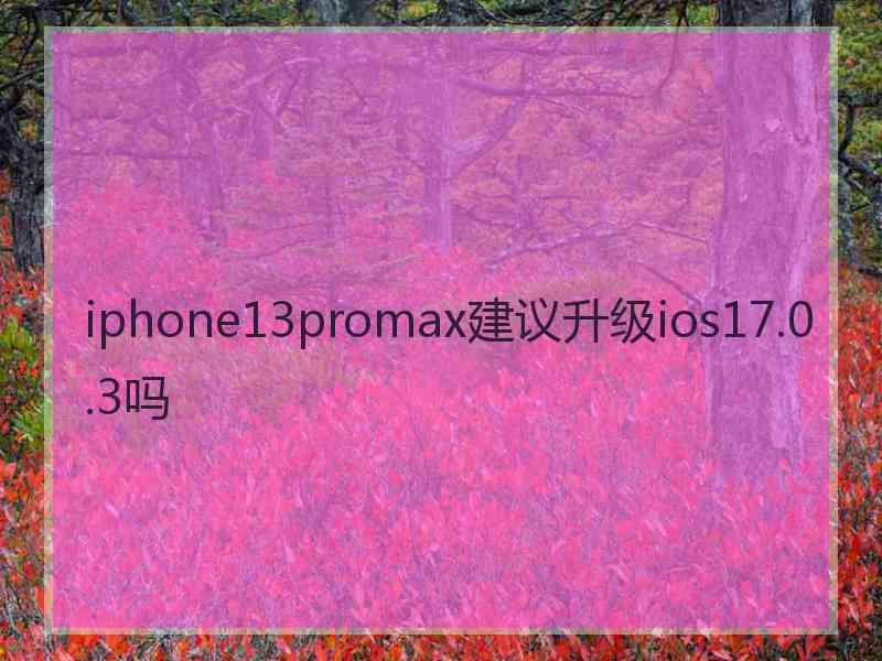 iphone13promax建议升级ios17.0.3吗