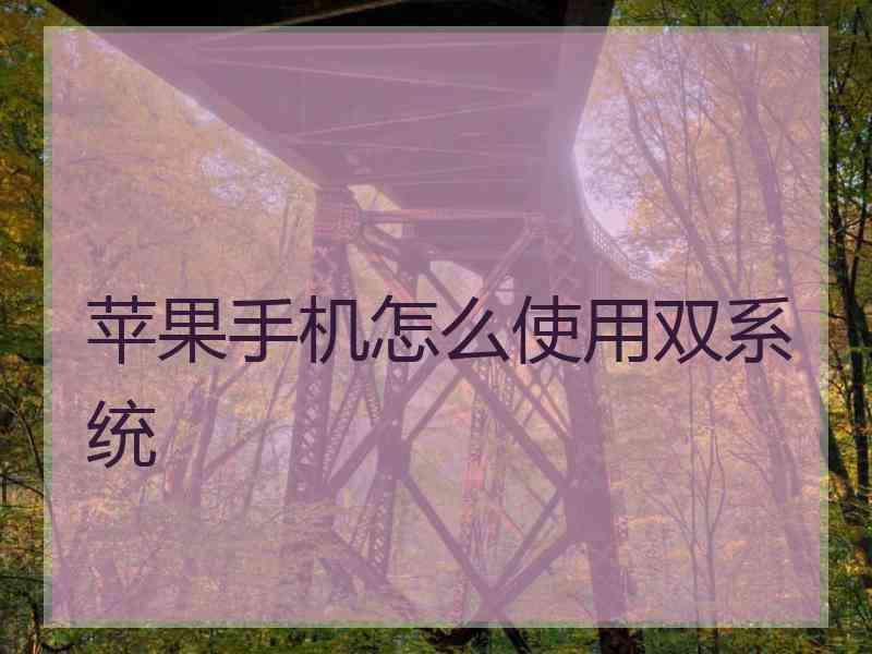 苹果手机怎么使用双系统