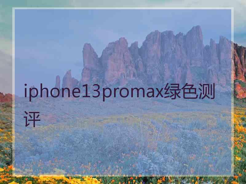 iphone13promax绿色测评