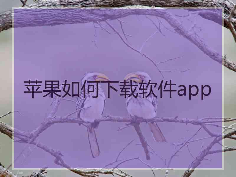 苹果如何下载软件app