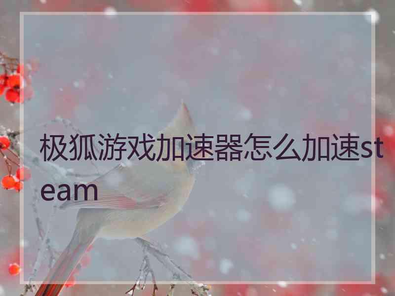 极狐游戏加速器怎么加速steam