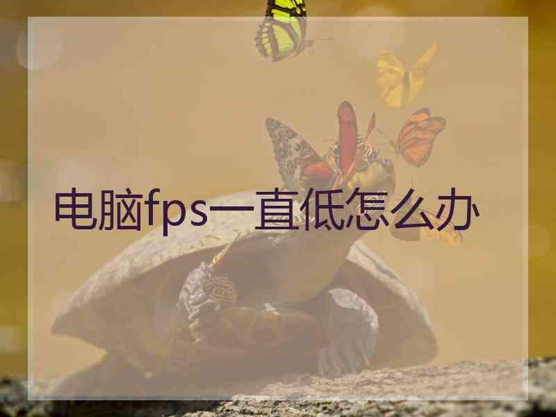 电脑fps一直低怎么办