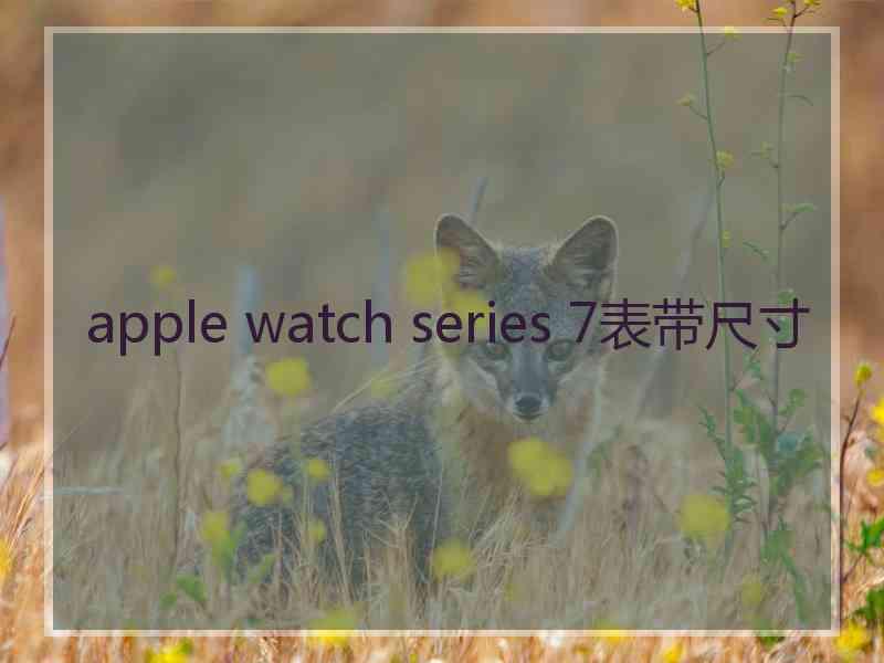 apple watch series 7表带尺寸