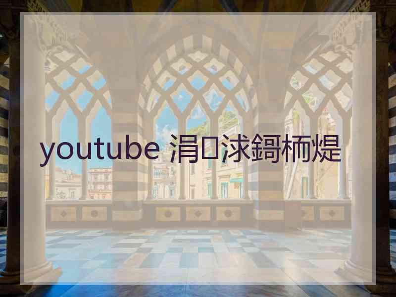 youtube 涓浗鎶栭煶