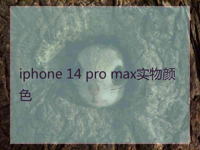 iphone 14 pro max实物颜色