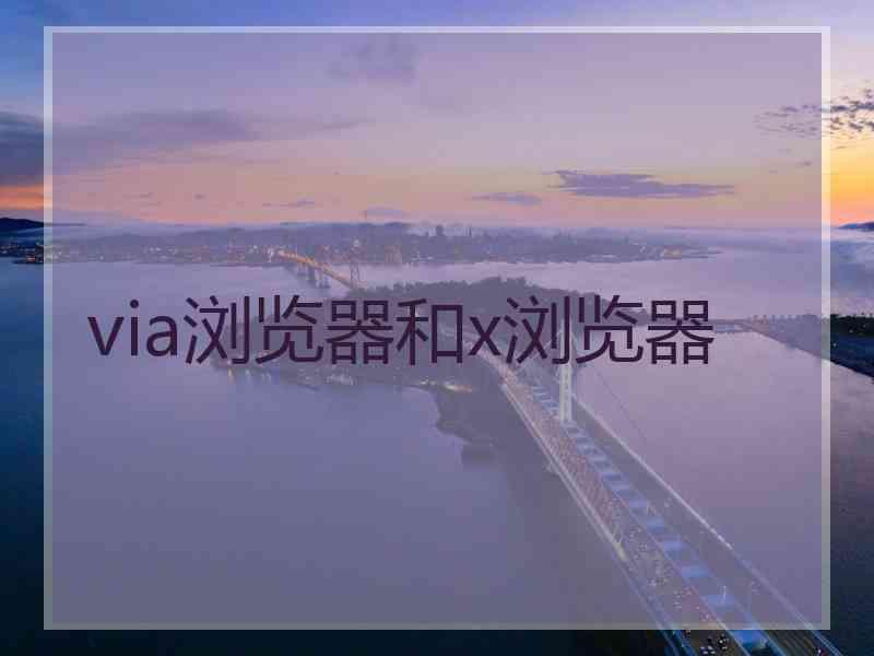 via浏览器和x浏览器