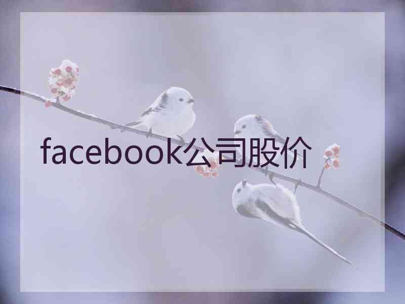 facebook公司股价