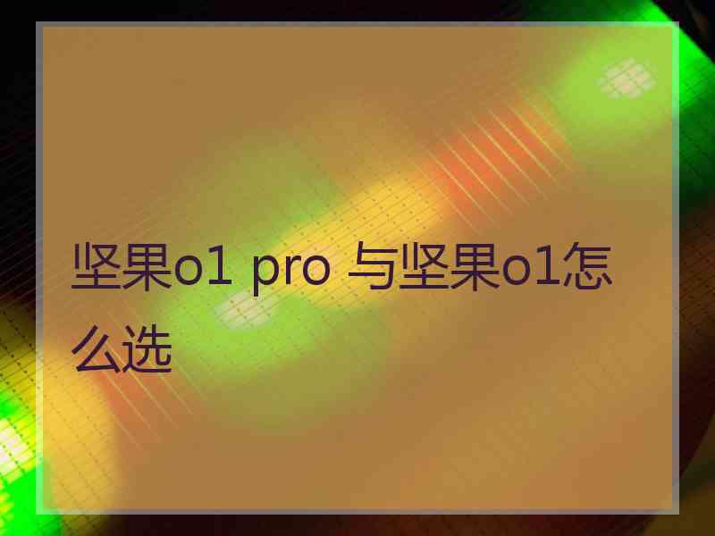 坚果o1 pro 与坚果o1怎么选