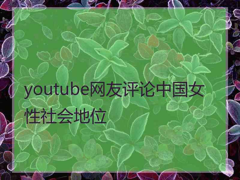 youtube网友评论中国女性社会地位