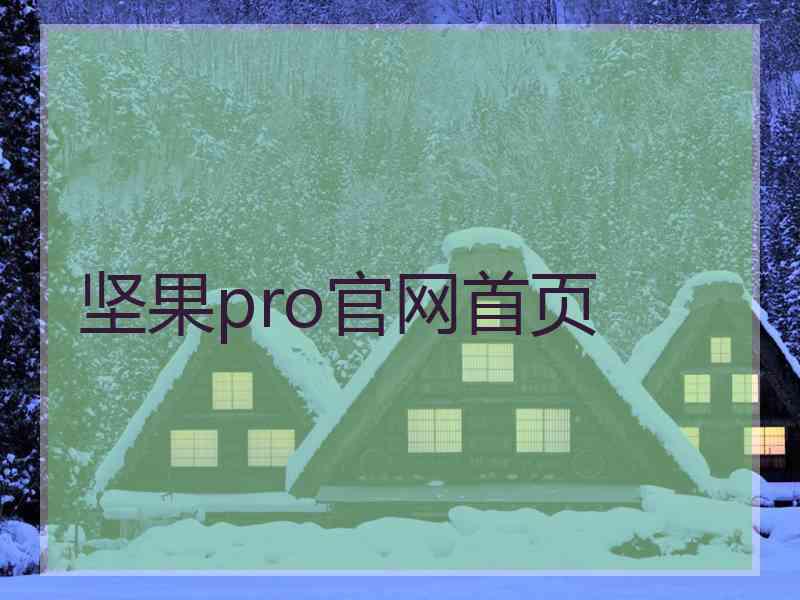 坚果pro官网首页