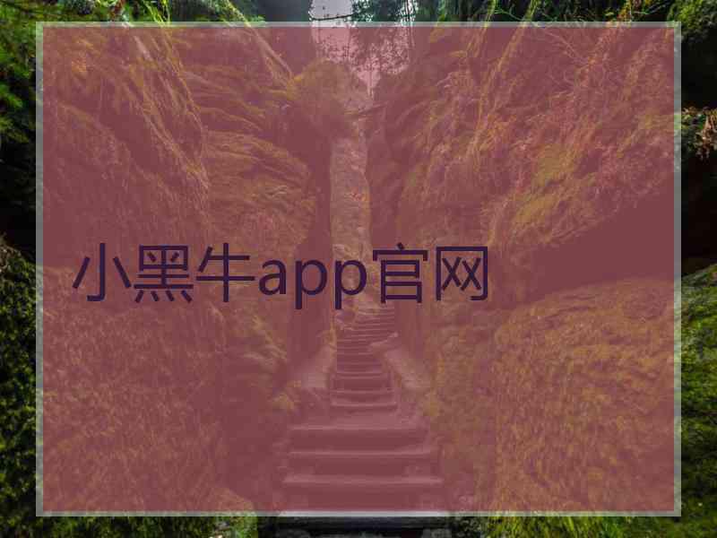 小黑牛app官网