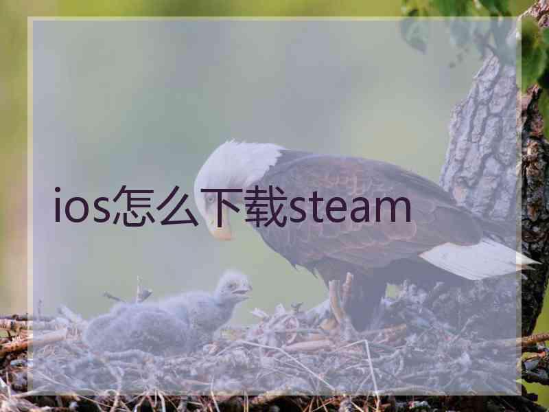 ios怎么下载steam