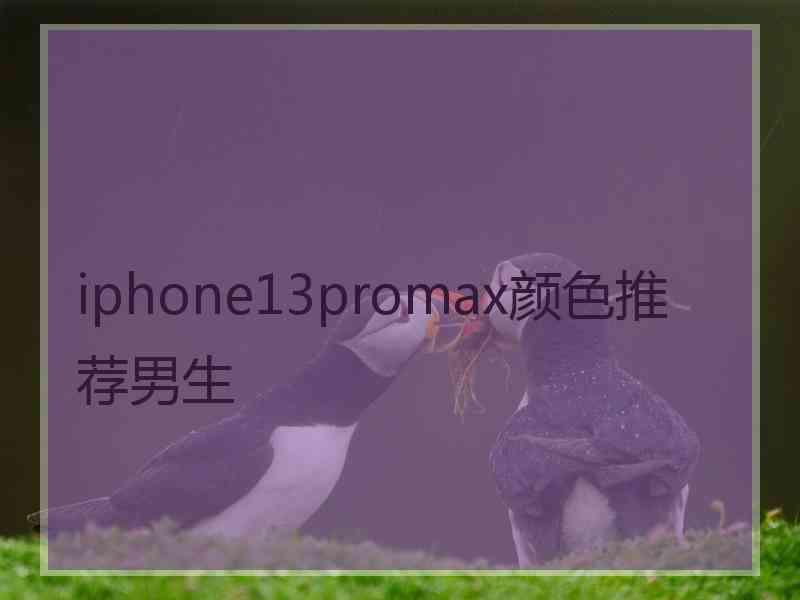 iphone13promax颜色推荐男生