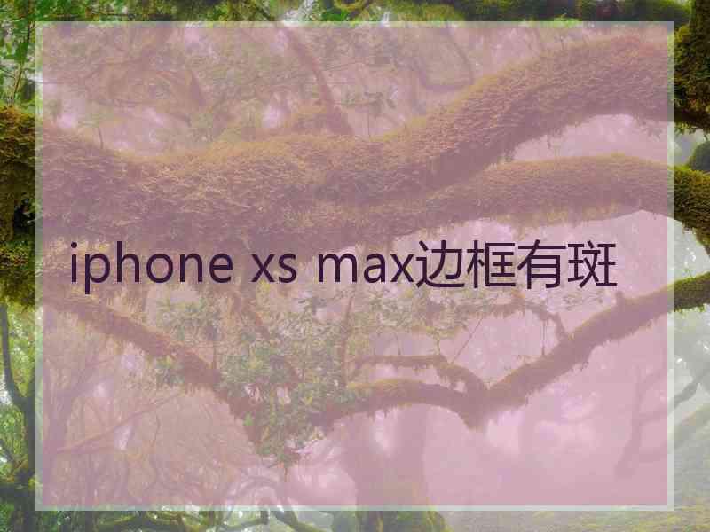 iphone xs max边框有斑