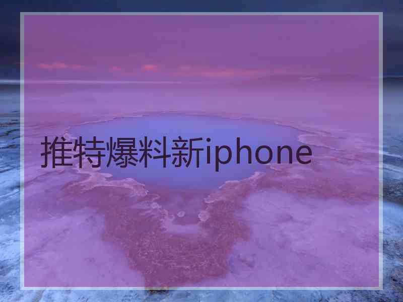 推特爆料新iphone