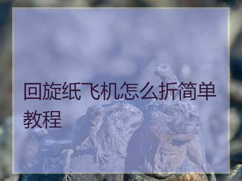 回旋纸飞机怎么折简单教程