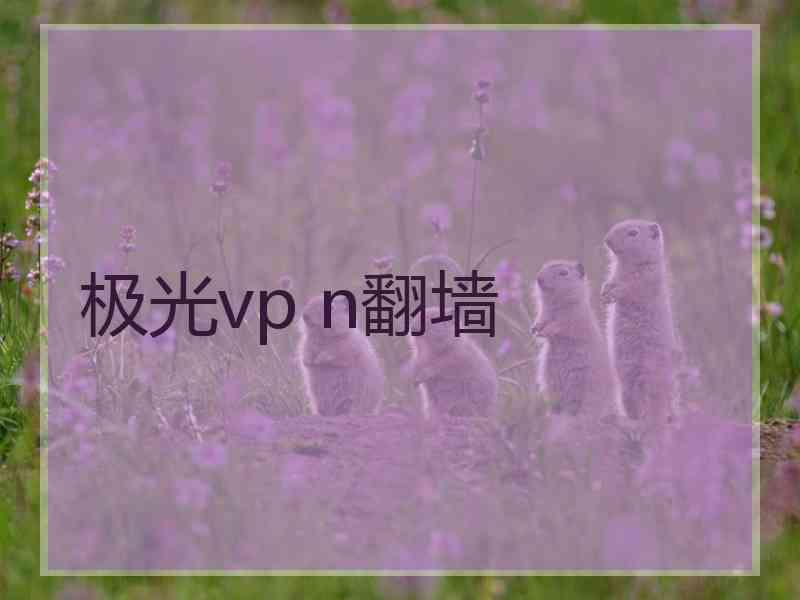 极光vp n翻墙