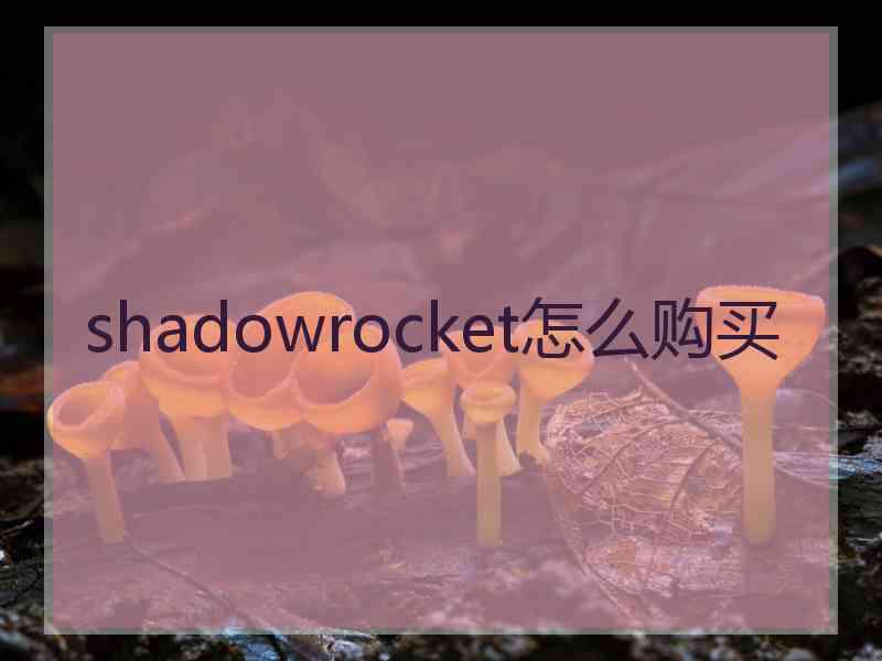 shadowrocket怎么购买