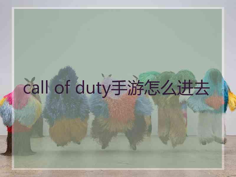 call of duty手游怎么进去